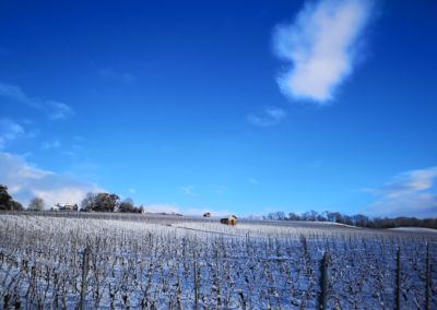 domaine-viticole-vignoble-la-cote-vaud