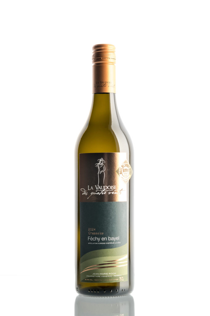 Chasselas-Fechy-en-Bayel vaud perroy